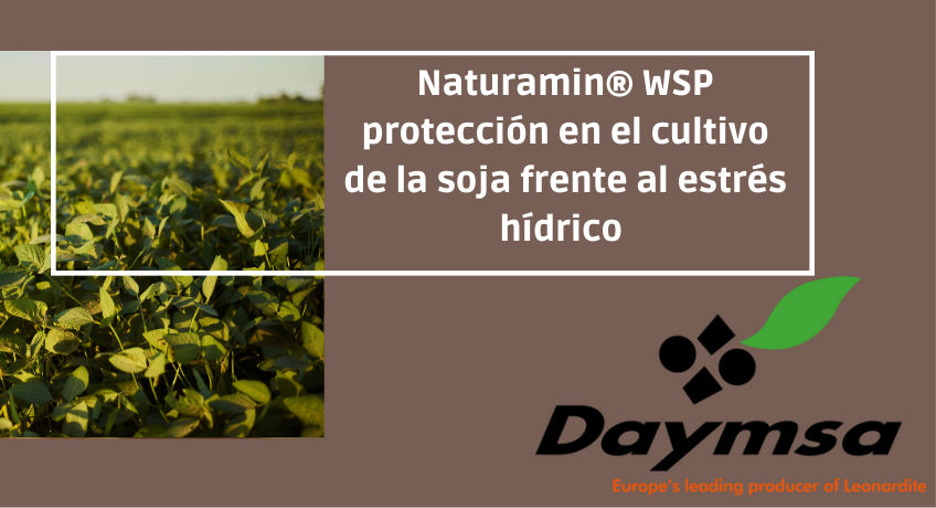 Naturamin® WSP, protección en el cultivo de la soja frente al estrés hídrico