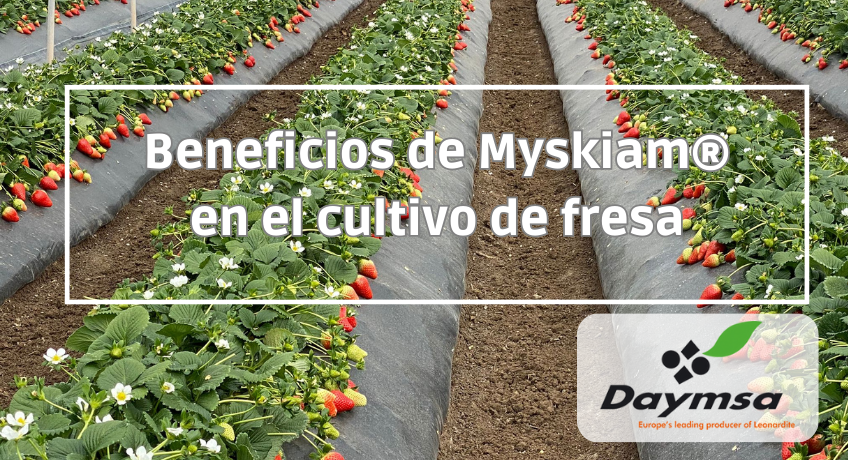 Myskiam®: clave para potenciar el cultivo de fresa