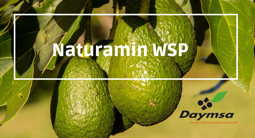 NaturaminWSP®  el mejor aliado para acabar con el estrés salino