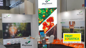 Daymsa