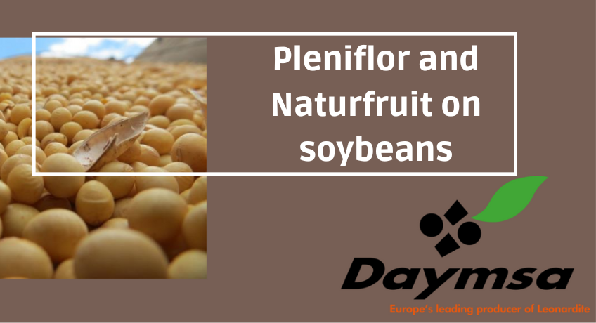 Daymsa presents the effects of Pleniflor and Naturfruit on soybeans