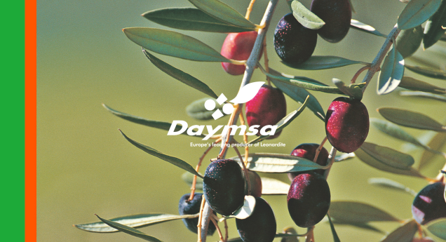 Nuptak® biofertilizante de Daymsa, mejora y complementa la nutrición nitrogenada en olivar