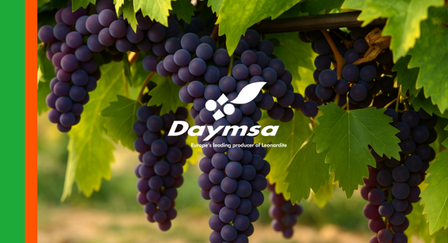 Uva de mayor valor enológico: el efecto de Naturamin® WSP en Tempranillo de La Rioja
