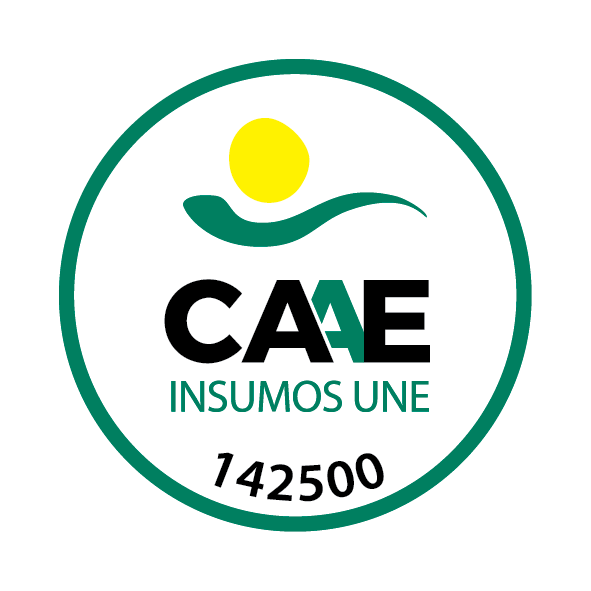 CAAE-UNE-142500