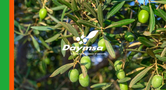 Daymsa impulsa la sostenibilidad del olivar en MUNDOLIVAR 2025