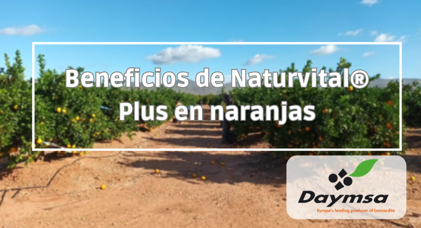 Incremento de la producción de naranjas con Naturvital® Plus