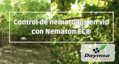 Artículos técnicos - daymsa.com