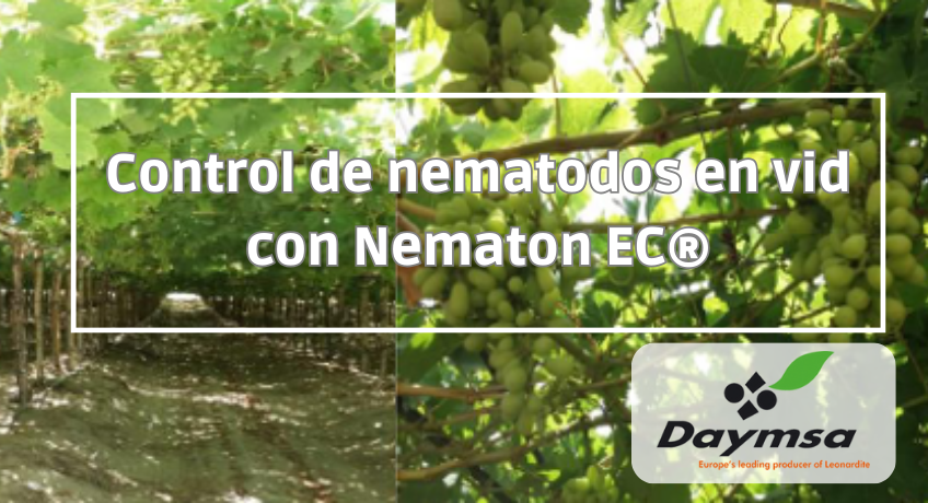 Control de nematodos en vid con Nematon EC®