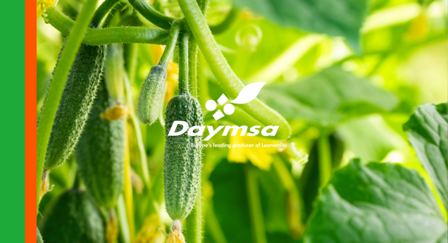 Veralion® demuestra una alta eficacia preventiva frente a botrytis en pepino bajo invernadero