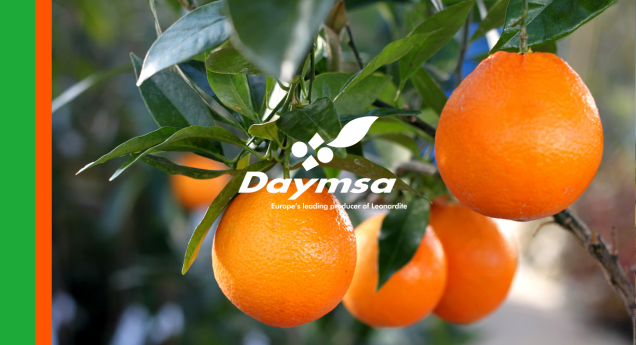 Foshield® demuestra su eficacia frente a Phytophthora spp en cítricos