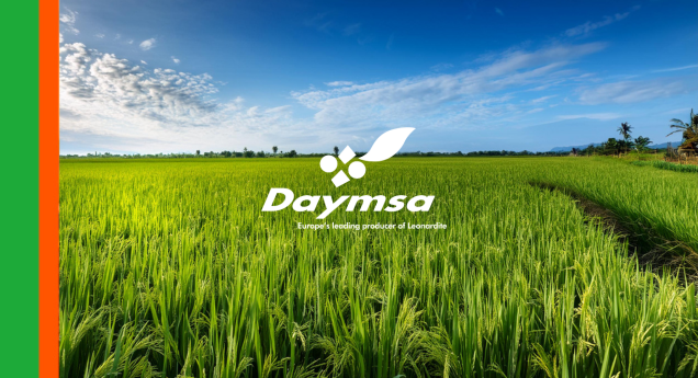 Naturamin® WSP impulsa el rendimiento del arroz y refuerza el control de enfermedades clave