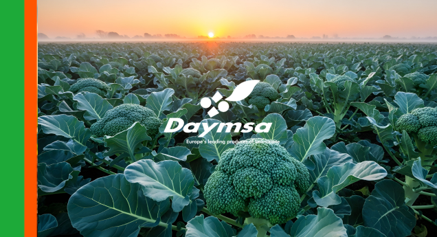 Naturvital®Plus mejora el rendimiento y la eficiencia en el uso de nutrientes en brócoli