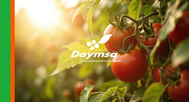 Crisostar®, control eficaz, y sin residuos, de la mosca blanca en el cultivo de tomate