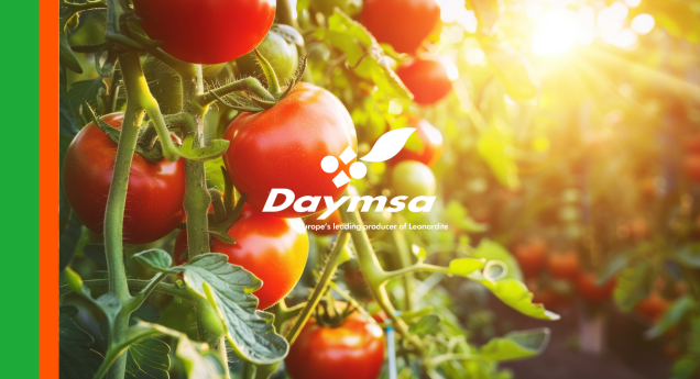 Efficacy of Nuptak® in tomatoes: more nutrients, higher yields