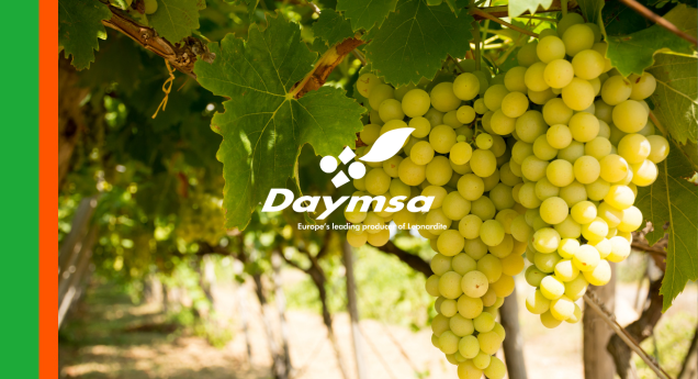 Naturamin® WSP mejora la producción en uva de mesa